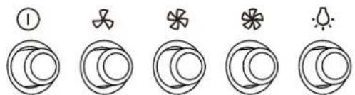 Five circular symbols with corresponding leaf and star-like shapes, possibly representing a symbolic or educational pattern.