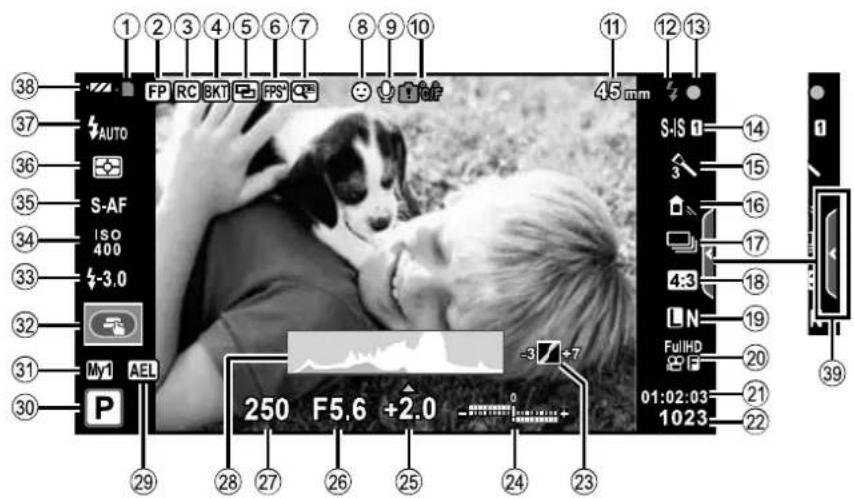 1 2 3 4 5 6 7 8 9 10 FP RC BKT FPS CP AUTO S-AF ISO 400 -3.0 My1 AEL 250 F5.6 +2.0 -3 -7 29 28 27 26 25 24 23 4.5 mm S-IS 14 3 15 16 17 4:3 18 LN 19 FullHD 20 01:02:03 21 1023 22 39