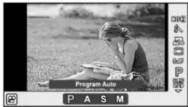 Program Auto PASM