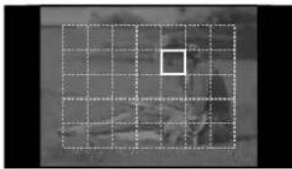 OLYMPUS E-PL5 - Choosing a focus target (AF target) - 2