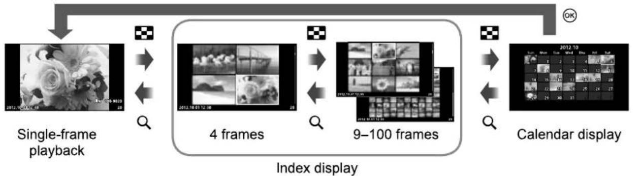 OLYMPUS E-PL5 - Light box display - 2