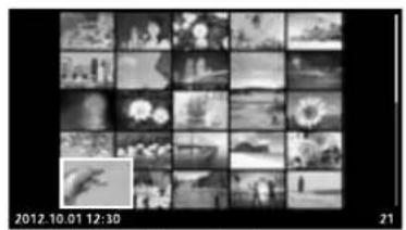 OLYMPUS E-PL5 - Index display/Calendar display - 1