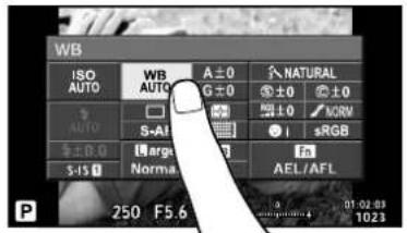 WB ISO AUTO WB A±0 NATURAL AUTO AUTO G±0 ±0 ±1 ±0 S-AI □ □ □ □ ±±0.0 Large S-15 □ Norma AEL/AFL P 250 F5.6 01:02:03 1023