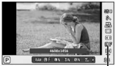 OLYMPUS E-PL5 - Image quality (record mode) - 1