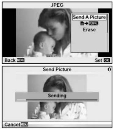 JPEG Send A Picture → PSEN Erase Back 50M Set OK Send Picture Sending Cancel 50M