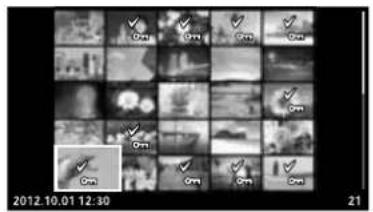 OLYMPUS E-PL5 - Selecting images - 1