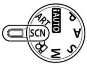 AUTO ART SCN S