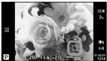OLYMPUS E-PL5 - Changing the brightness of highlights and shadows - 1