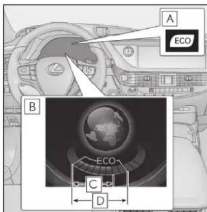 A ECO B ECO C D