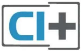 CI+