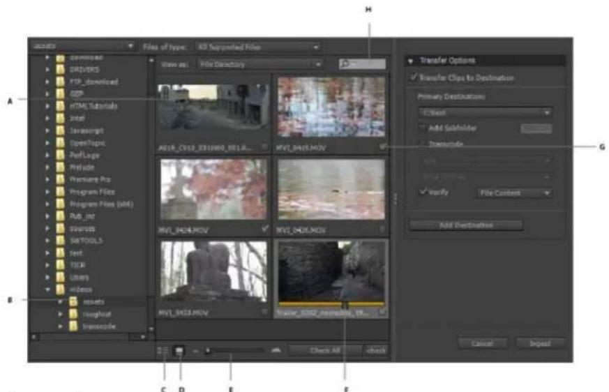 ADOBE Prelude CS6 - The Ingest workspace - 1