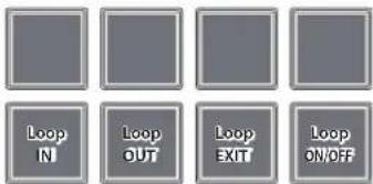 Loop IN Loop OUT Loop EXIT Loop ON/OFF