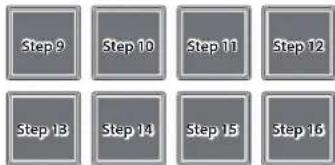 Step 9 Step 10 Step 11 Step 12 Step 13 Step 14 Step 15 Step 16