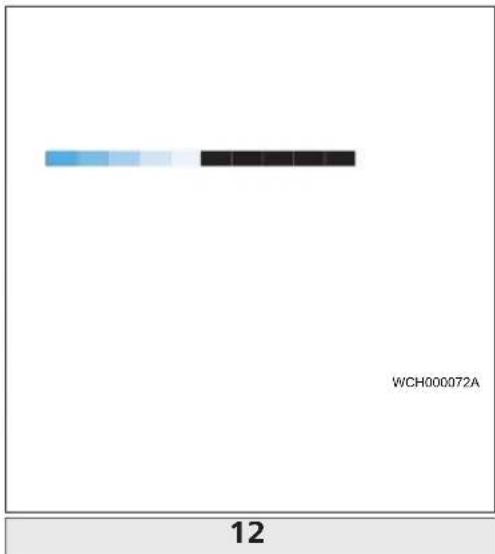 Webasto Pure - Webasto Pure - 13