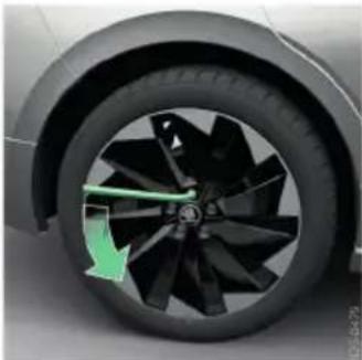 SKODA Kamiq (2026) - הכלה - 3