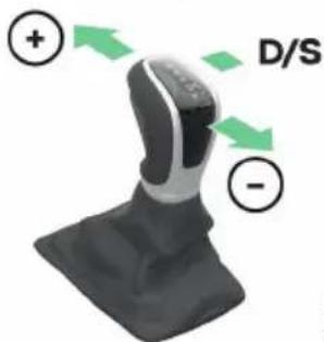 D/S +