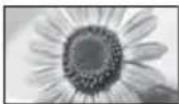PANASONIC TX-LR47WT50 - [;hP n&ln&N,panны!] - 2