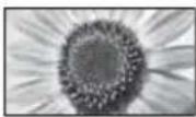 PANASONIC TX-LR47WT50 - [;hP n&ln&N,panны!] - 4