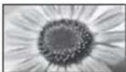 PANASONIC TX-LR47WT50 - [;hP n&ln&N,panны!] - 3