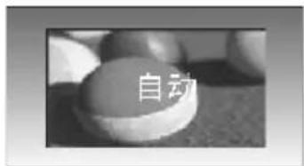 自动