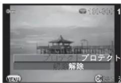 プロテクト プロテクト 解除 NEMO OK