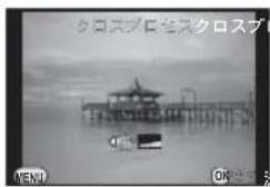 クロスプロを海外クロスプ NEW OK