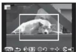RICOH Q7 - トリミングする大きさ/範囲を指定 - 1