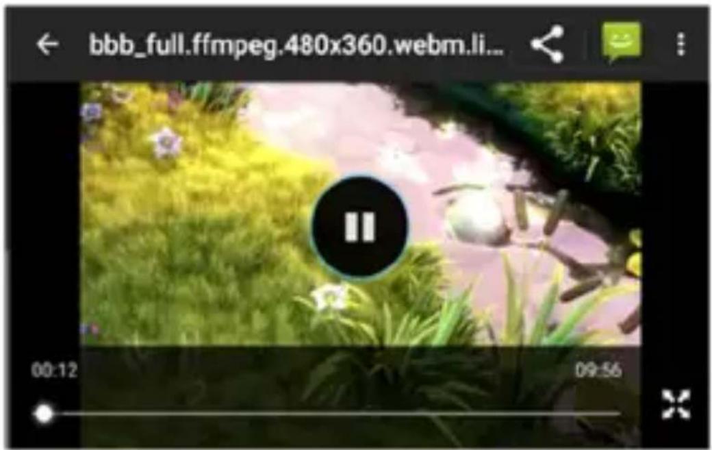 Vivax PRO 1 - Video - 1