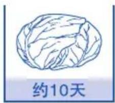 约10天