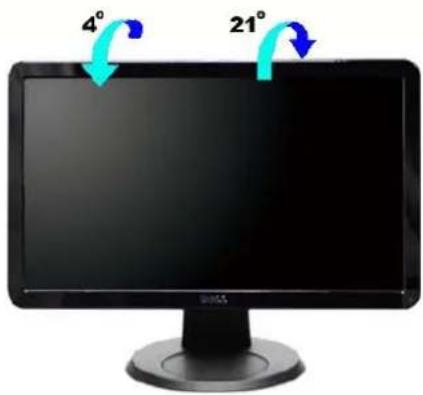 DELL IN1910N - Tilt - 1