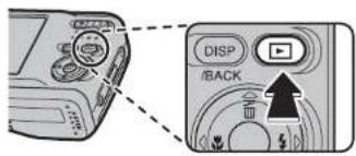 DISP /BACK