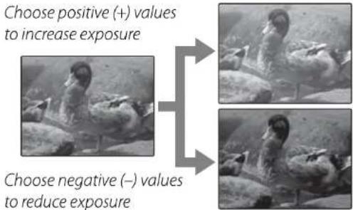Choose positive (+) values to increase exposure Choose negative (−) values to reduce exposure