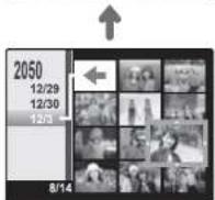 FUJIFILM FinePix A850 - Choosing a Display Format - 3