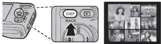 DISP /BACK