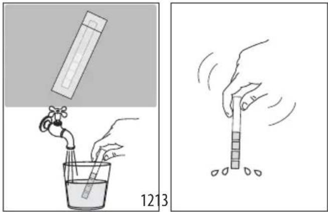 1213