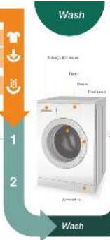 Wash 1 2 Wash