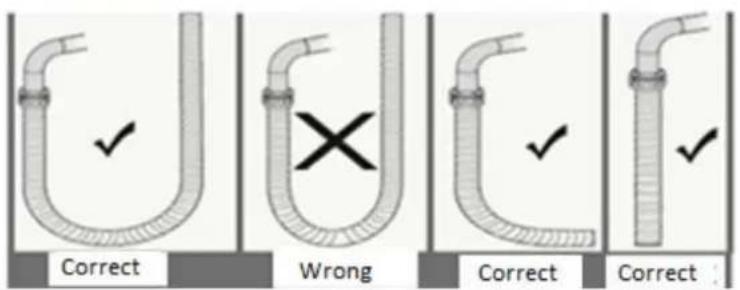 Correct Wrong Correct Correct