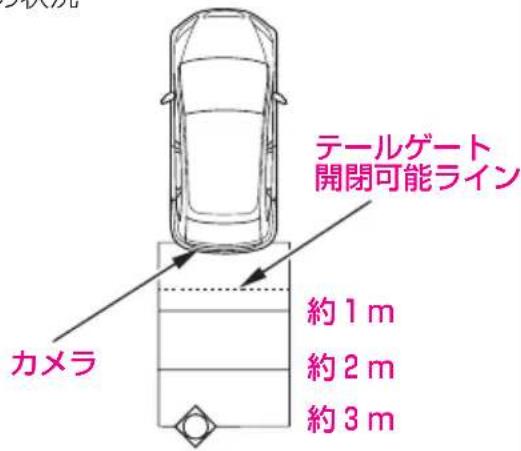 テーテルゲート 開閉可能ライン 約1m 約2m 約3m カメラ