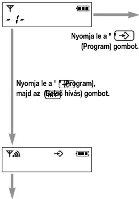 PANASONIC KX-TCD951HGB - A programozható funkciók összefoglalása - 1