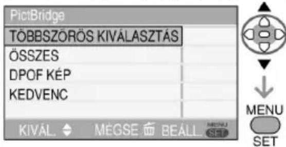 PANASONIC Lumix DMW-SDP1 - Használja a ▲/▼ gombot a kívánt menü- pont kiválasztásához és nyomja meg a [MENU/SET] (menü/beállítás) gombot. - 1
