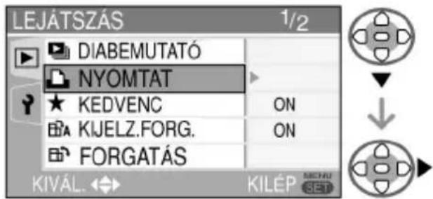 PANASONIC Lumix DMW-SDP1 - A nyomtató bekapcsolása előtt, válassza a [NYOMTAT] menüpontot és nyomja meg a ▶ gombot. - 1