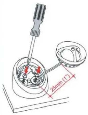25mm (1")