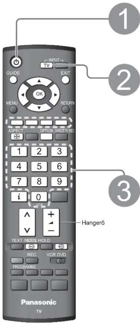 PANASONIC TH-42PZ8EA - Tévénézés - 1