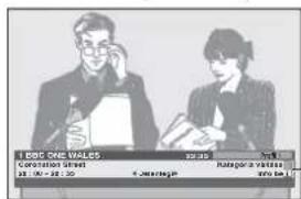 PANASONIC TH-42PZ8EA - Válasszon DVB (digitális videojel-sugárzás) vagy Analogue mód közül - 2