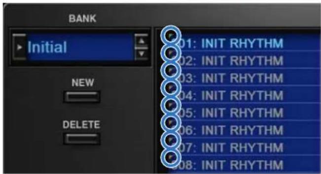 ROLAND SRX ELECTRIC PIANO - [BANK] ボタンをクリックします。 - 3
