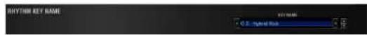 ROLAND SRX ELECTRIC PIANO - RHYTHM KEY NAME - 1