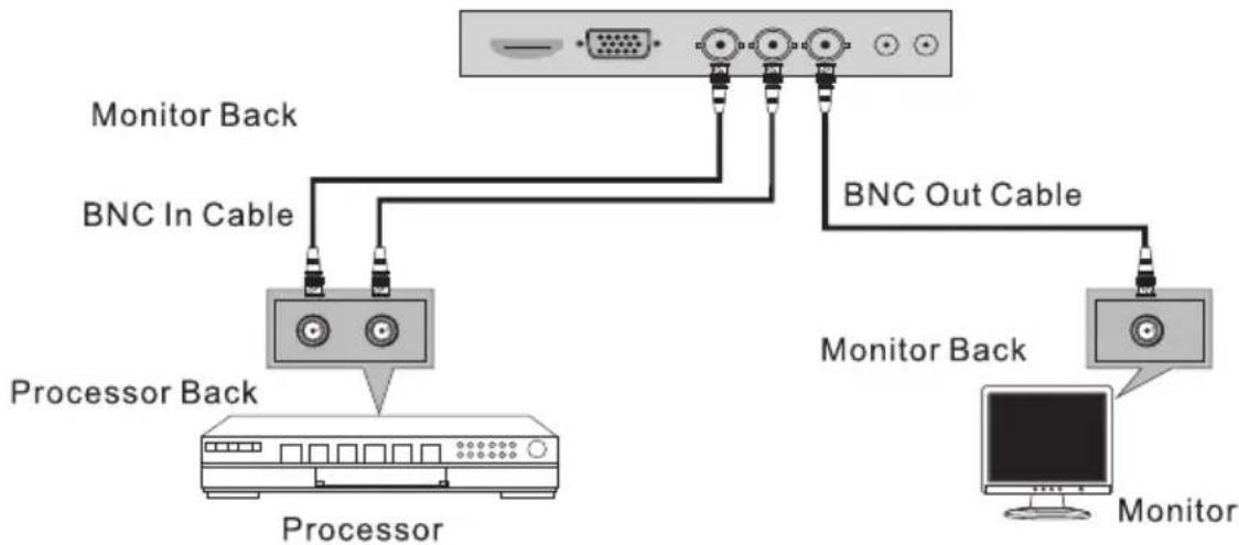 ORION OR24RPE - BNC INPUT and BNC OUTPUT Connection - 1