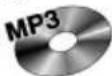 Prology DVS-1233 - Воспроизведение в случайном порядке - 3
