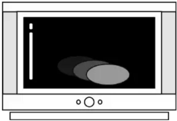 Prology DVS-1233 - Заставка - 1