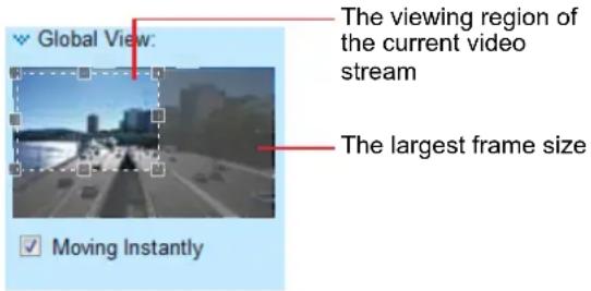 Global View: The viewing region of the current video stream The largest frame size Moving Instantly